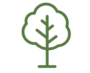 Tree icon